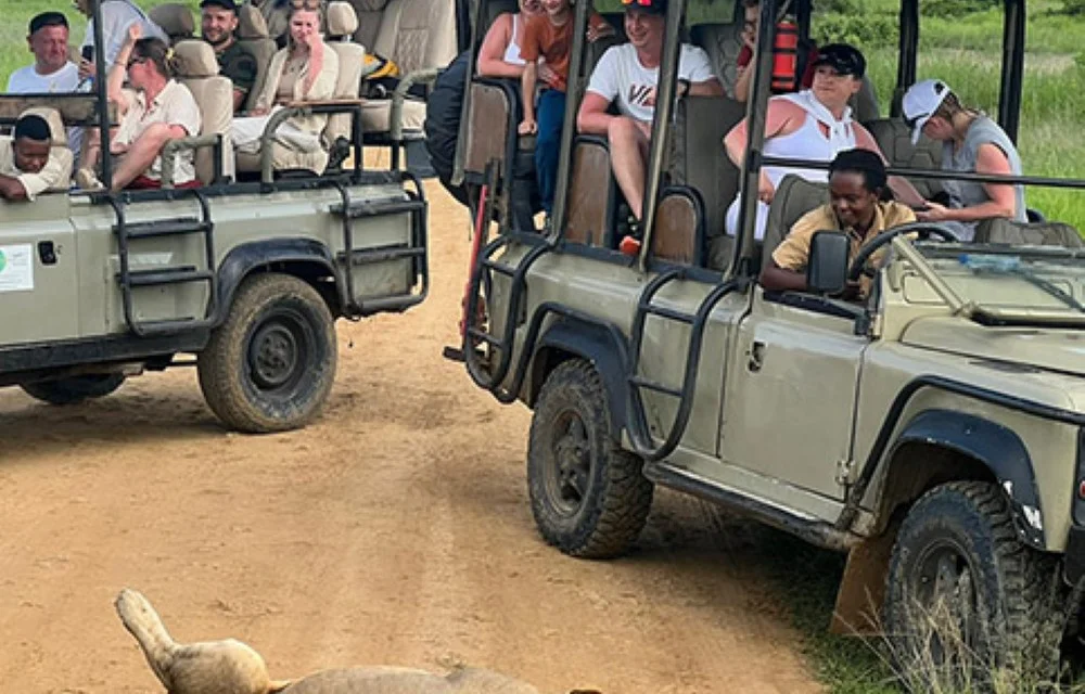 Tanzania Safaris in Zanzibar Pictures