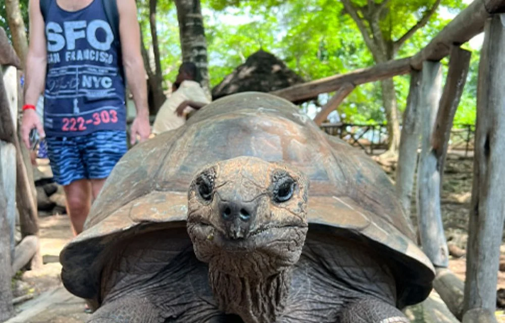 Nature & Wildlife in Zanzibar Pictures